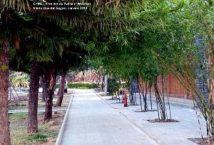 030- Weishan